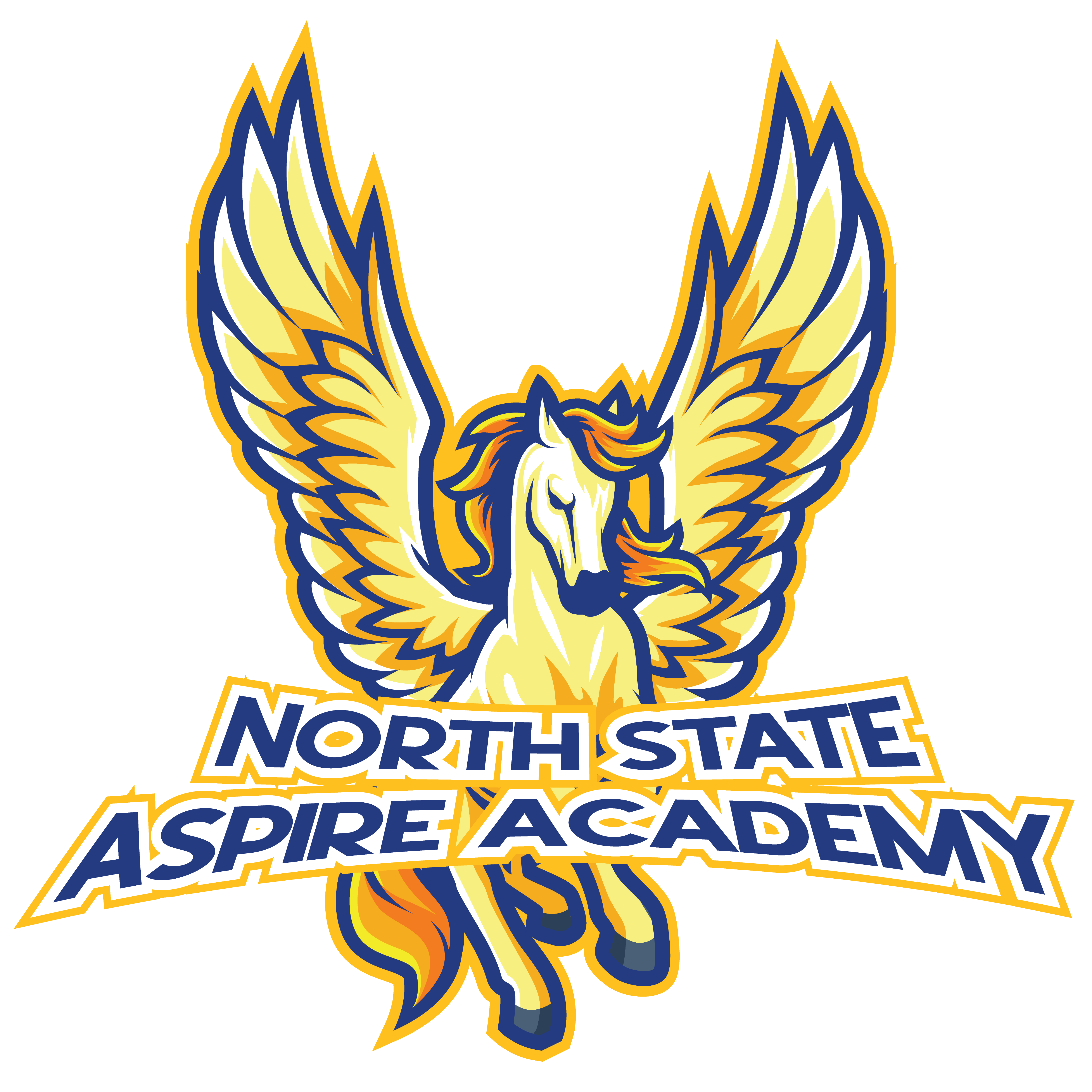 NSAA school logo